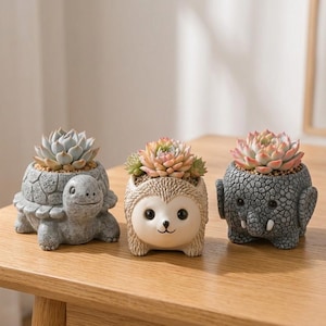 May include: Three animal-shaped succulent planters made of resin. The left is a grey turtle, the centre is a cream-coloured hedgehog, and the right is a grey elephant with small tusks. Each planter holds a small, multi-layered succulent plant.