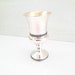 Holiday Kiddush Cup - Silver Plated - IMJ Judaica Web Store