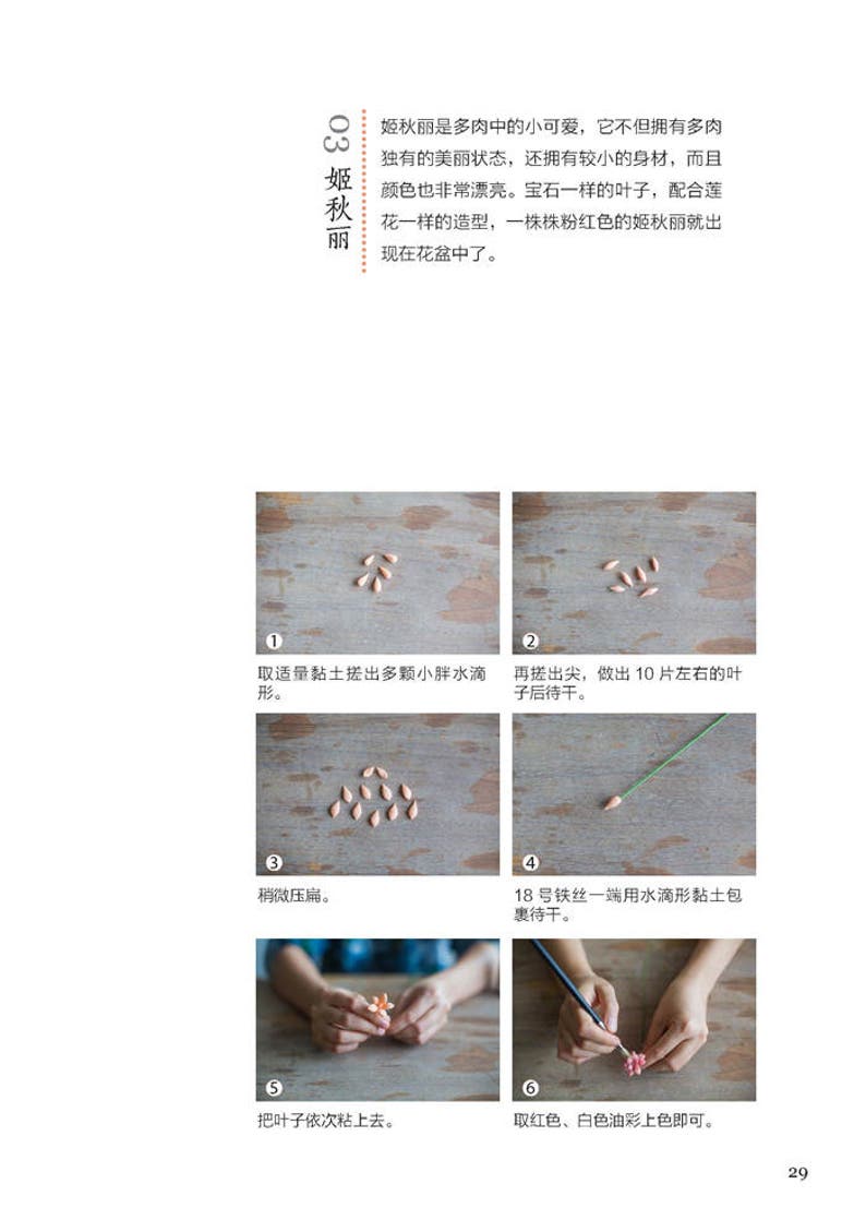 30 Polymer clay succulent plants polymer clay tutorial Succulent plant suitable for beginner craft book