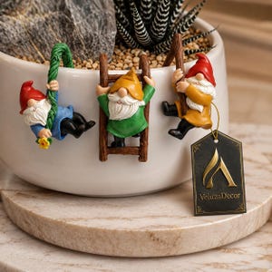 Puede incluir: Tres figuras de gnomos en miniatura fijadas al borde de una maceta blanca. Un gnomo con gorro rojo y camisa azul cuelga de una cuerda verde, uno con gorro amarillo y camisa verde sube una escalera marrón, y uno con gorro rojo y camisa amarilla cuelga de un poste marrón. Una etiqueta negra con el texto dorado VeluzaDecor está adjunta.