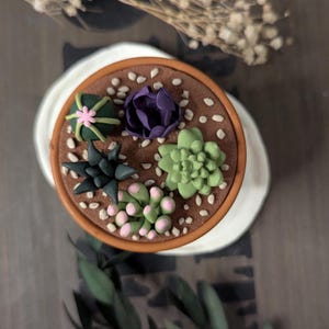 Peut inclure: Un petit jardin de succulentes dans un pot en terre cuite, avec des plantes vertes et violettes et des touches de rose. L'arrangement est sur une assiette blanche, avec de petits cailloux blancs autour des plantes. Le pot est brun et les plantes sont disposées en cercle.