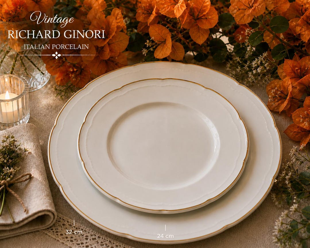 richard-ginori-vintage-plate-set-flat-plate-8-91-soup-plate-l-89-etsy