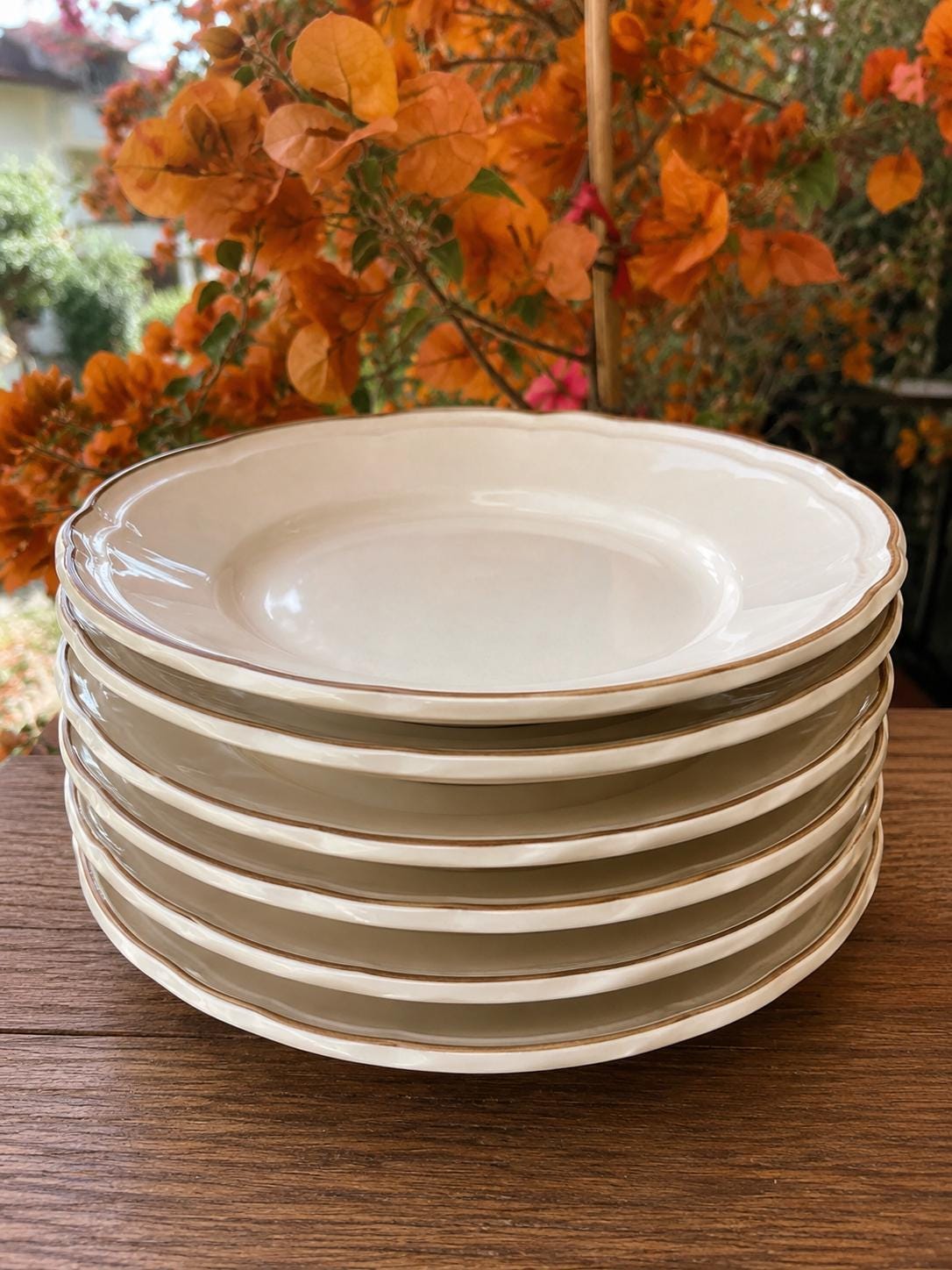 Vietri dinnerware - Etsy 日本