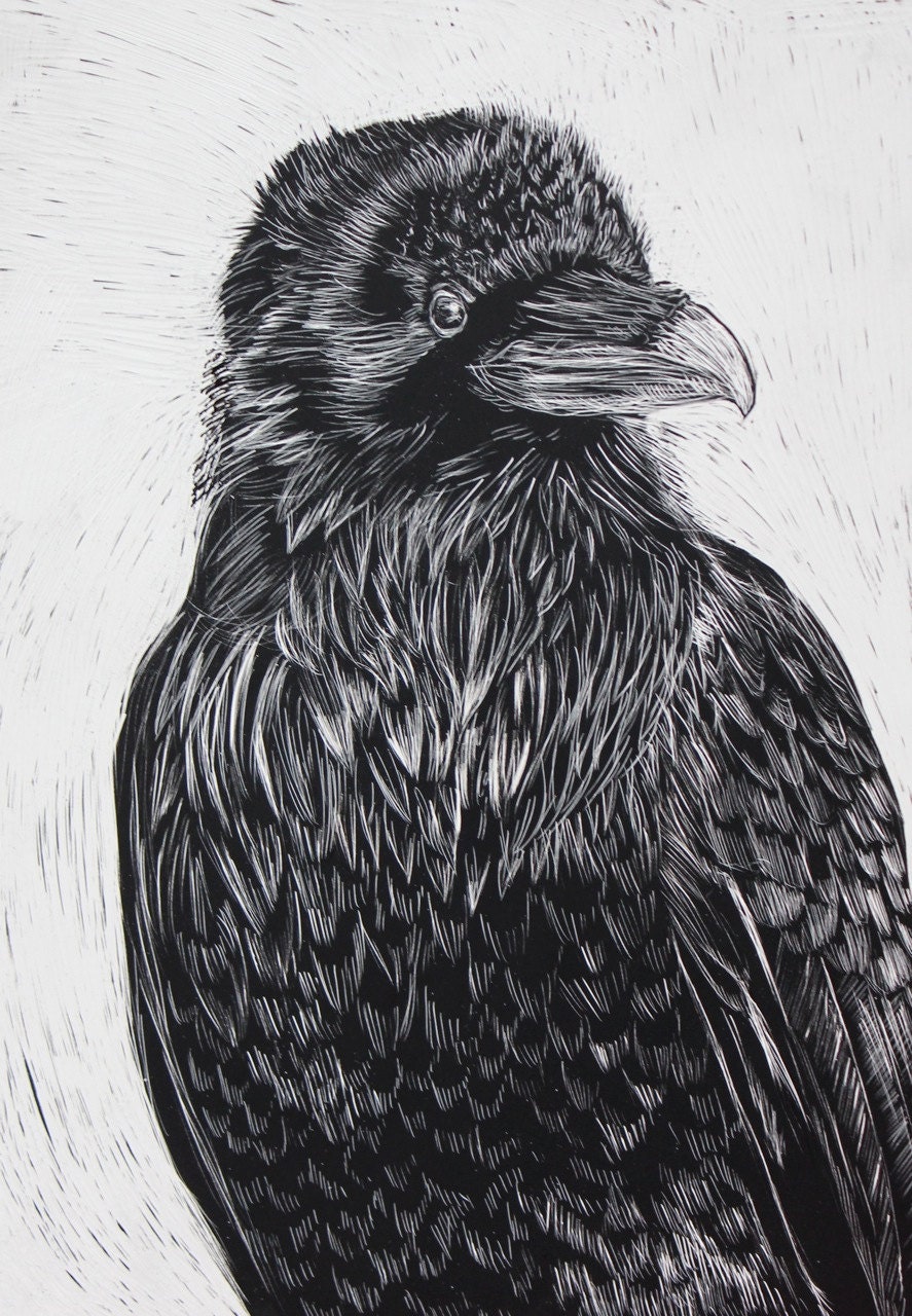 Crow Original Drawing on Scratchboard Black and White 5 x 7 Etsy