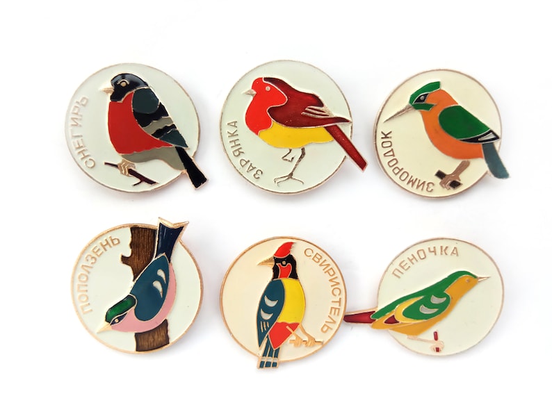 wild birds fauna USSR metal badge brooch Vintage Soviet souvenir Songbirds enamel pins