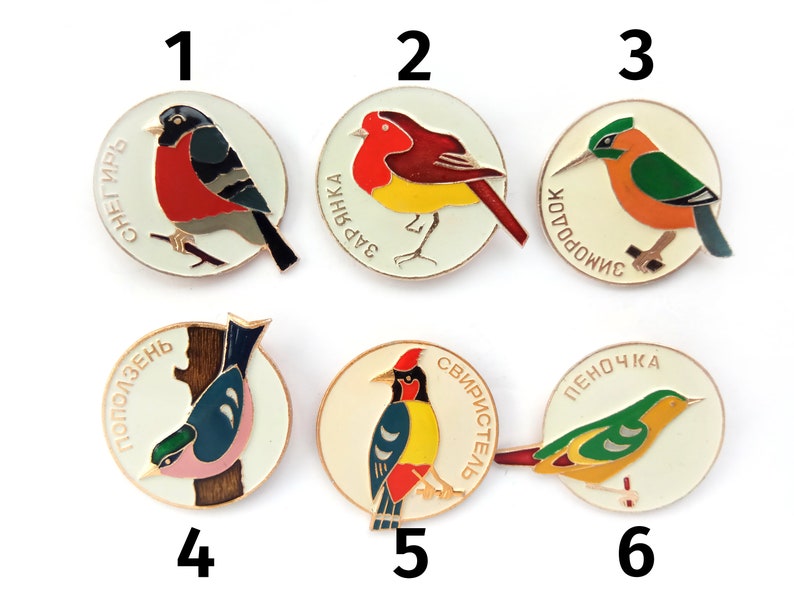 wild birds fauna USSR metal badge brooch Vintage Soviet souvenir Songbirds enamel pins