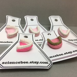 May include: Five pairs of earrings shaped like dentures, displayed on white cards with the text "sciencebee.etsy.com". The earrings are made of pink and white polymer clay and feature gold glitter accents.