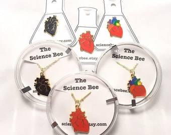 Anatomical Heart Enamel Pin or Necklace--available in 3 colorways