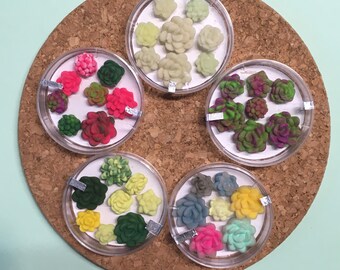 Succulent magnet set