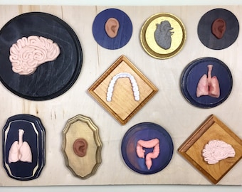 Organ Plaques Wall Art