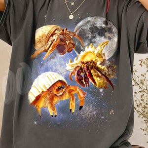 Camiseta retro de cangrejo ermitaño a la luz de la luna, camiseta vintage con concha celestial, arte estético de crustáceos de los 90, gráfico de cangrejo ermitaño salvaje a la luz de la luna, regalo bohemio
