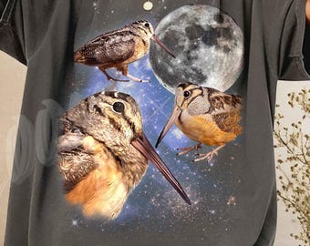 Three Meep Bird Moon Shirt, Vintage Desert Bird Galaxy Tee, Celestial Roadrunner Art, Aesthetic 90s Nature Graphic T-shirt, Funny Bird Gift