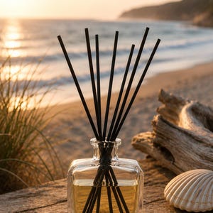 May include: A clear, square glass reed diffuser bottle filled with a light amber liquid. Several thin, black reed sticks are inserted into the bottle, fanning out from the narrow neck. The glass container has a thick base and rounded corners.
