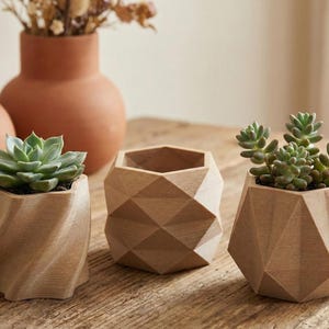 Peut inclure: Trois jardinières en bois avec des succulentes. Les jardinières présentent des motifs géométriques uniques, dont une forme torsadée, facettée et à plusieurs côtés. Les succulentes sont vertes et ajoutent un élément naturel au décor. Deux vases en terre cuite sont en arrière-plan.