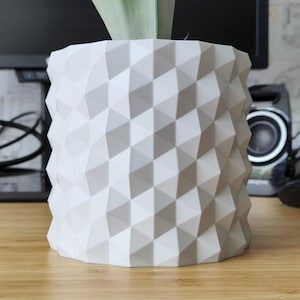Può includere: Un vaso geometrico bianco con una superficie strutturata. Il vaso è cilindrico e presenta un motivo a rombi ripetuto. Il vaso è appoggiato su una superficie di legno e contiene una pianta verde.