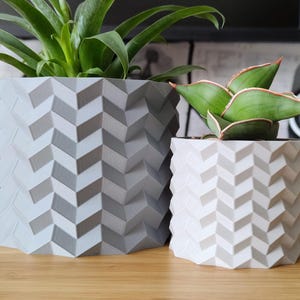 Peut inclure: Deux pots de fleurs géométriques à chevrons, un gris et un blanc, contenant chacun une plante d'intérieur différente. Le pot gris est plus grand que le blanc. Les plantes ont des feuilles vertes. Les pots sont sur une surface en bois.