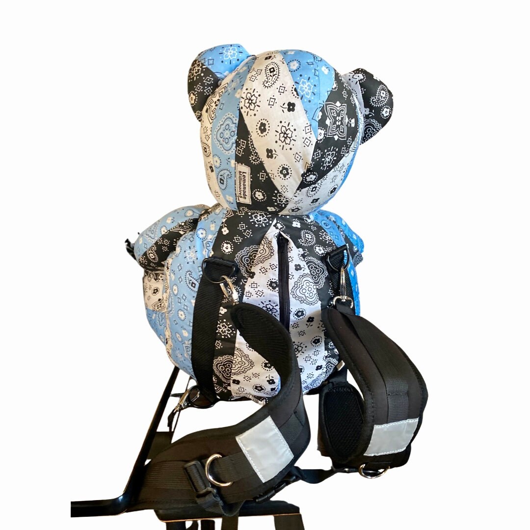 Backpack N Pillow Teddy Bear Bandana Print Blue Black White  display picture 2