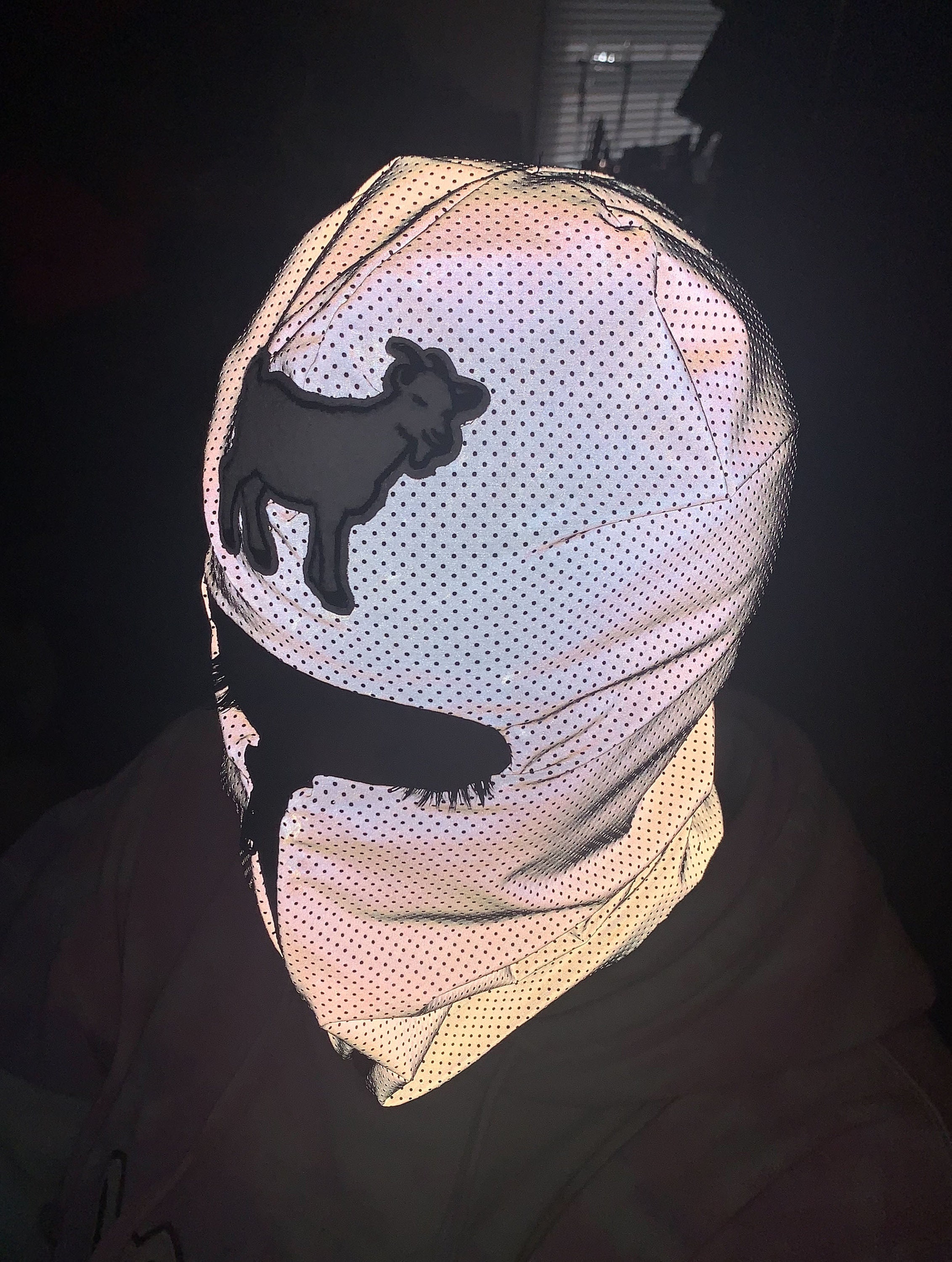 Reflective Zip up Balaclava With White Goat Emblem, Ski Mask