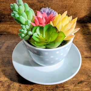Op de afbeelding: Een lichtblauwe kop en schotel met witte stippen, gevuld met kleurrijke kunstmatige vetplanten. De vetplanten omvatten groene, roze, gele en paarse bloemen, waardoor een levendige weergave ontstaat. De set staat op een houten oppervlak.