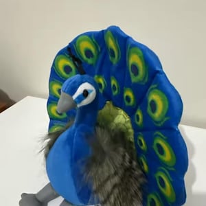 May include: A plush peacock toy with a vibrant blue body and tail feathers. The tail features yellow and green accents. The toy has gray legs, a blue head, and a tuft of gray and brown feathers on its chest.