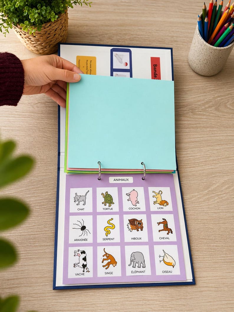 Pecs-type Visual Communication Binder - Autism - Etsy UK