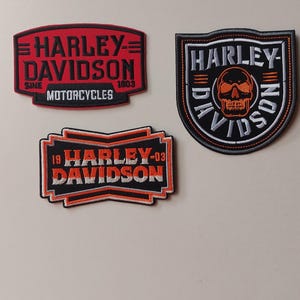 Può includere: Tre toppe ricamate con il marchio Harley-Davidson. Una toppa rettangolare rossa riporta la scritta Harley-Davidson Motorcycles 1903. Una toppa nera a forma di scudo mostra un teschio. Una toppa rettangolare nera riporta Harley-Davidson 19-03.