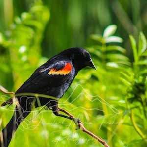 May include: A set of three ceramic mugs with a speckled, matte finish. The mugs are in shades of cream, light gray, and dark gray. Each mug has a simple, minimalist design and a rounded handle.