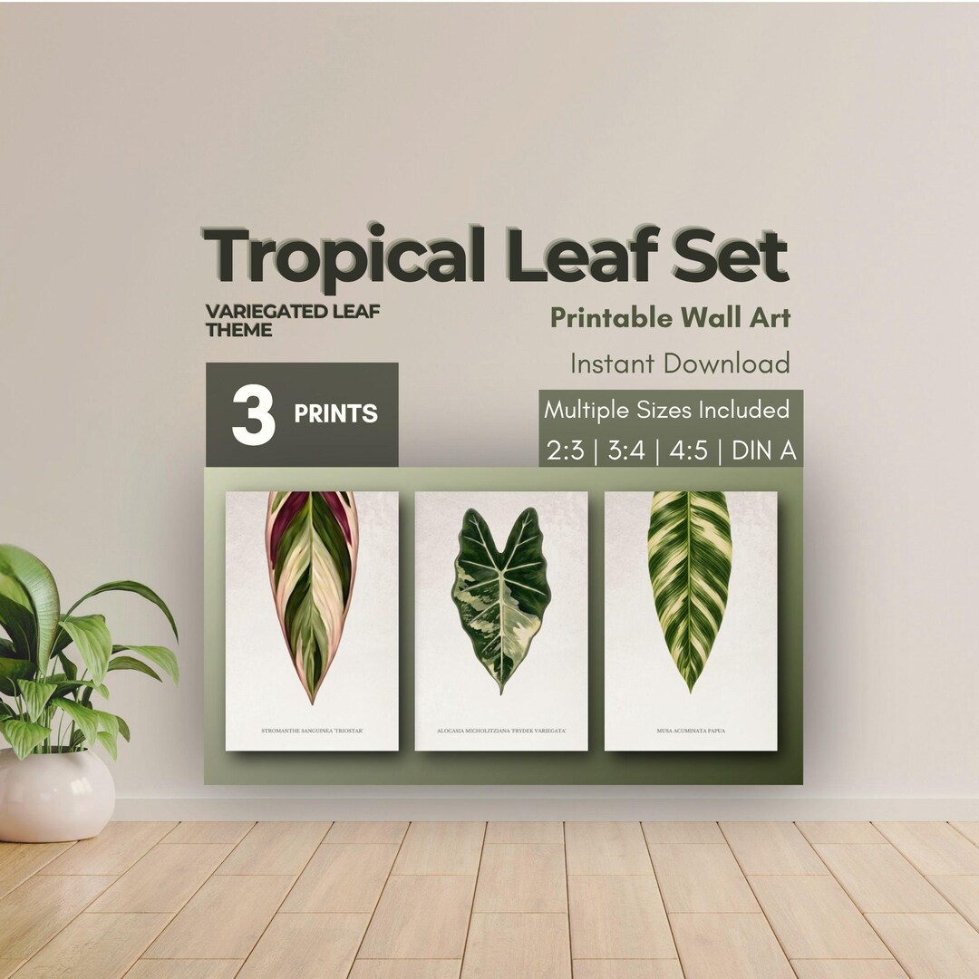 Tropical Leaf Print Set of 3 Posters | Variegated Leaf | Botanical Wall ...