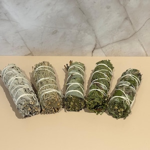 Puede incluir: Cinco manojos cilíndricos de hierbas y follaje secos dispuestos en fila. Cada manojo está fuertemente atado con un hilo blanco fino. La colección incluye texturas y tonos variados de materiales vegetales secos en verde, gris y marrón.