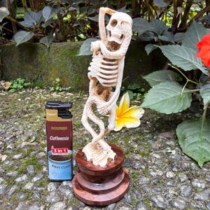 Statue de squelette et de serpent sculptée à la main – Sculpture en corne naturelle
