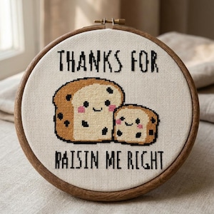 May include: A circular wooden embroidery hoop containing white fabric with a cross-stitch design of two smiling raisin bread slices. The text reads "THANKS FOR RAISIN ME RIGHT" in black capital letters, with pink cheeks on the bread characters.