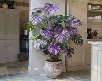 Rare Monstera Deliciosa  Seeds | Tropical Variegated Houseplant mix Seeds | Exotic Split Leaf Philodendron | Indoor Outdoor Rare Plant