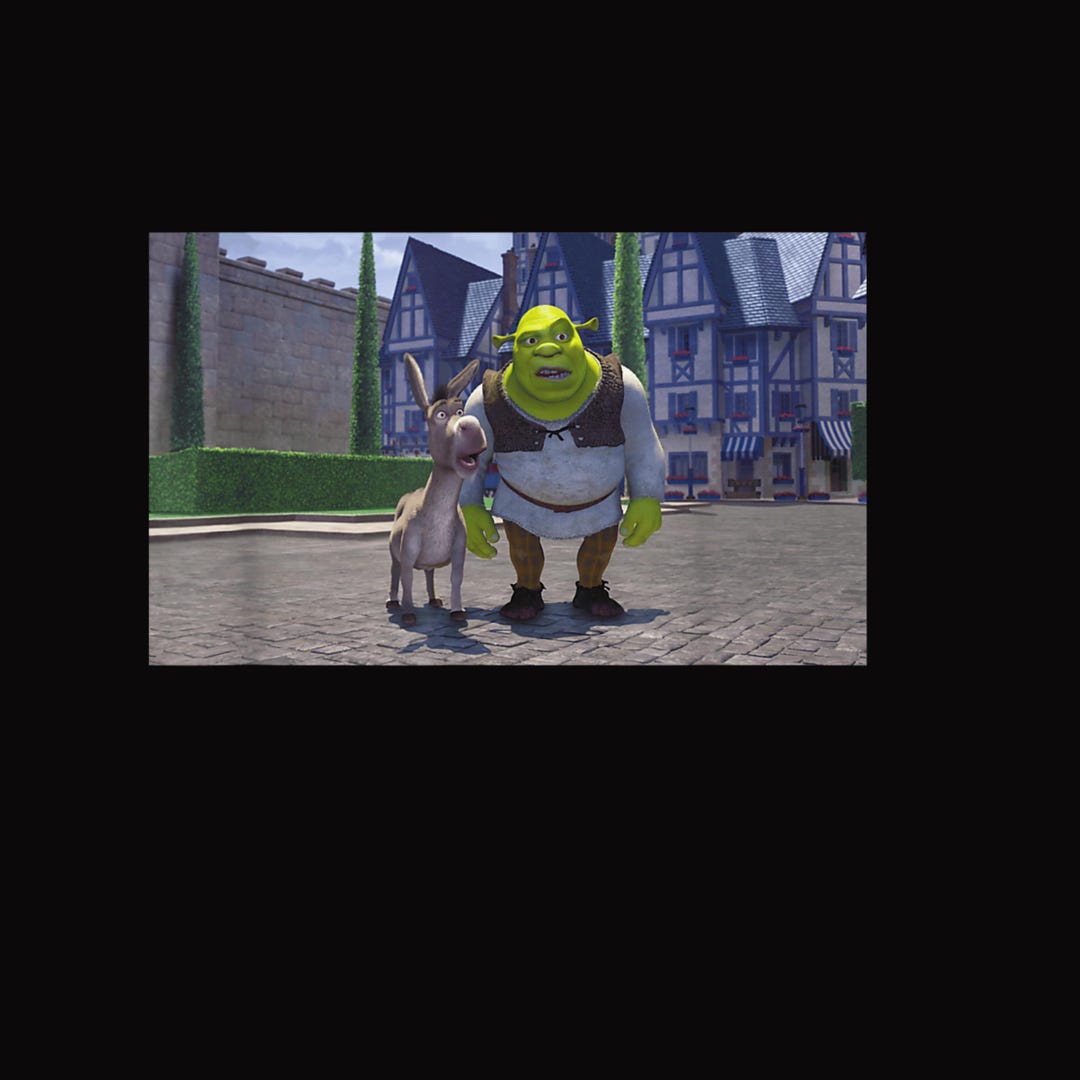 Shrek Iconic Donkey & Shrek Photo Scene Big Chest Poster – Funny Duo ...