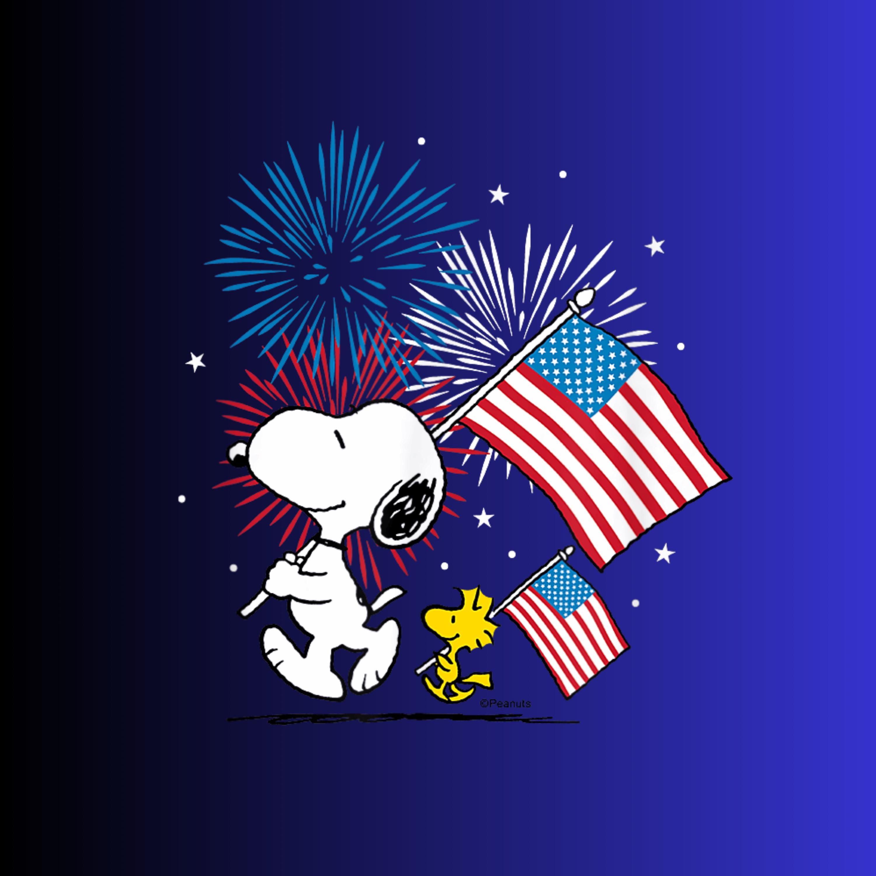 Snoopy American Flag - Etsy Israel
