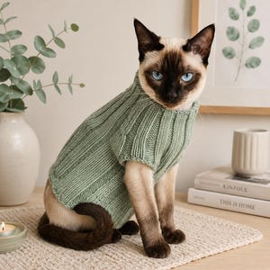 Peut inclure: Un chat siamois aux yeux bleus portant un pull en tricot côtelé vert clair. Le chat est assis sur un tapis tissé beige. L'arrière-plan comprend un vase avec de la verdure, une impression encadrée et une pile de livres.