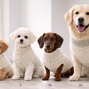 May include: Four dogs of different breeds, including a poodle, Maltese, dachshund, and golden retriever, are wearing cream-colored knit sweaters. The dogs are sitting and facing the camera. The sizes are labeled: New, S, Xs, and Ea.
