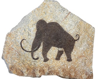 Rouffignac Mammoth primitive painting on hanging stone