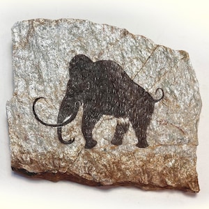 Rouffignac Mammoth primitive painting on hanging stone