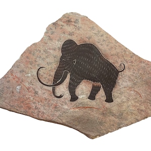 Rouffignac Mammoth primitive painting on hanging stone