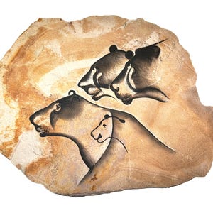 Chauvet Lions cave art painting on hanging stone