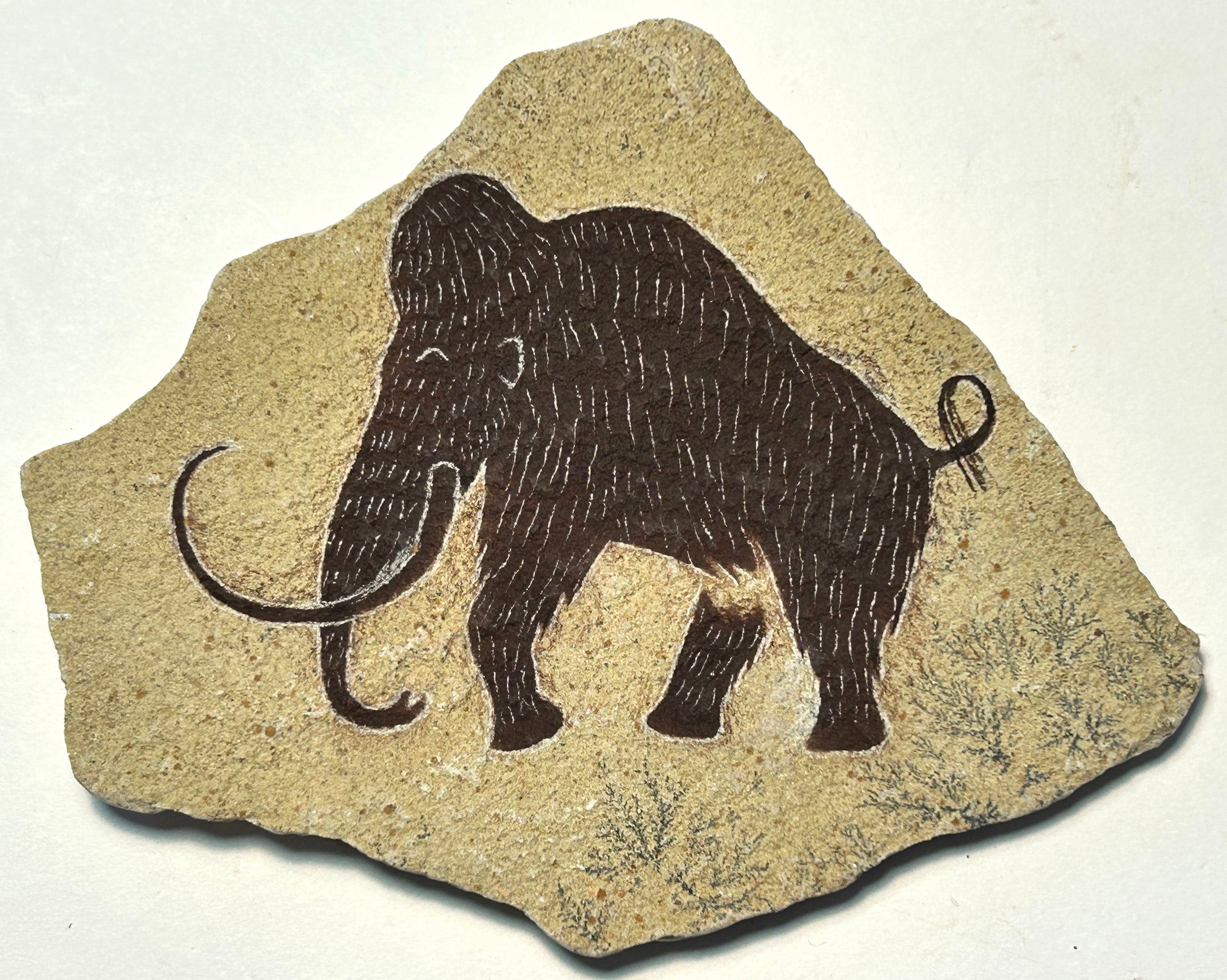 マンモスマグネット 石に描かれた原始的な洞窟壁画 - Etsy 日本