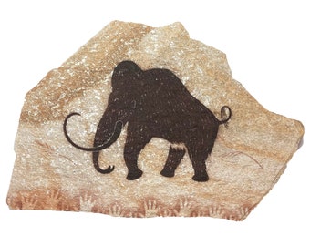 Rouffignac Mammoth primitive painting on hanging stone