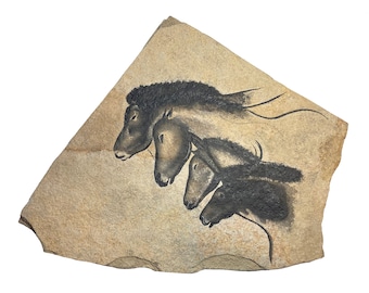 Chauvet Horses cave art painting on hanging stone