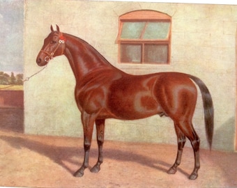 Antique 1906 Bookplate Print Coach Horse Dressage Equine