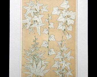 LEAVES from NATURE Antique Print 1856 Chromolithograph Bookplate Owen Jones Grammar of ORNAMENT Print Interior Home Decor Design Reference