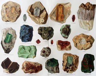 Antique German Chromolithograph 1890s Bookplate MINERALS GEMS CRYSTALS Illustration Home Decor Opal Topaz Ruby