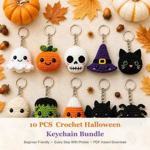 May include: A set of ten crochet Halloween keychains featuring a white ghost, orange pumpkin, white skull, purple witch hat, black cat, white mummy, green monster, orange candy corn, black bat, and black spider, each with a metal ring.