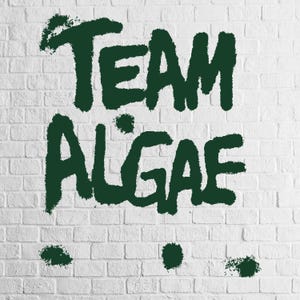 May include: A white brick wall background featuring the dark green text "TEAM ALGAE" in a bold, brush-stroke style font. The letters have a textured, paint-like appearance, and there are four small, dark green circular paint splatters below the text.
