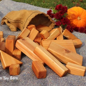 Building Block Set Kids Natural Toys Wooden 28 piece Set with Carrying Bag Gift for Kids