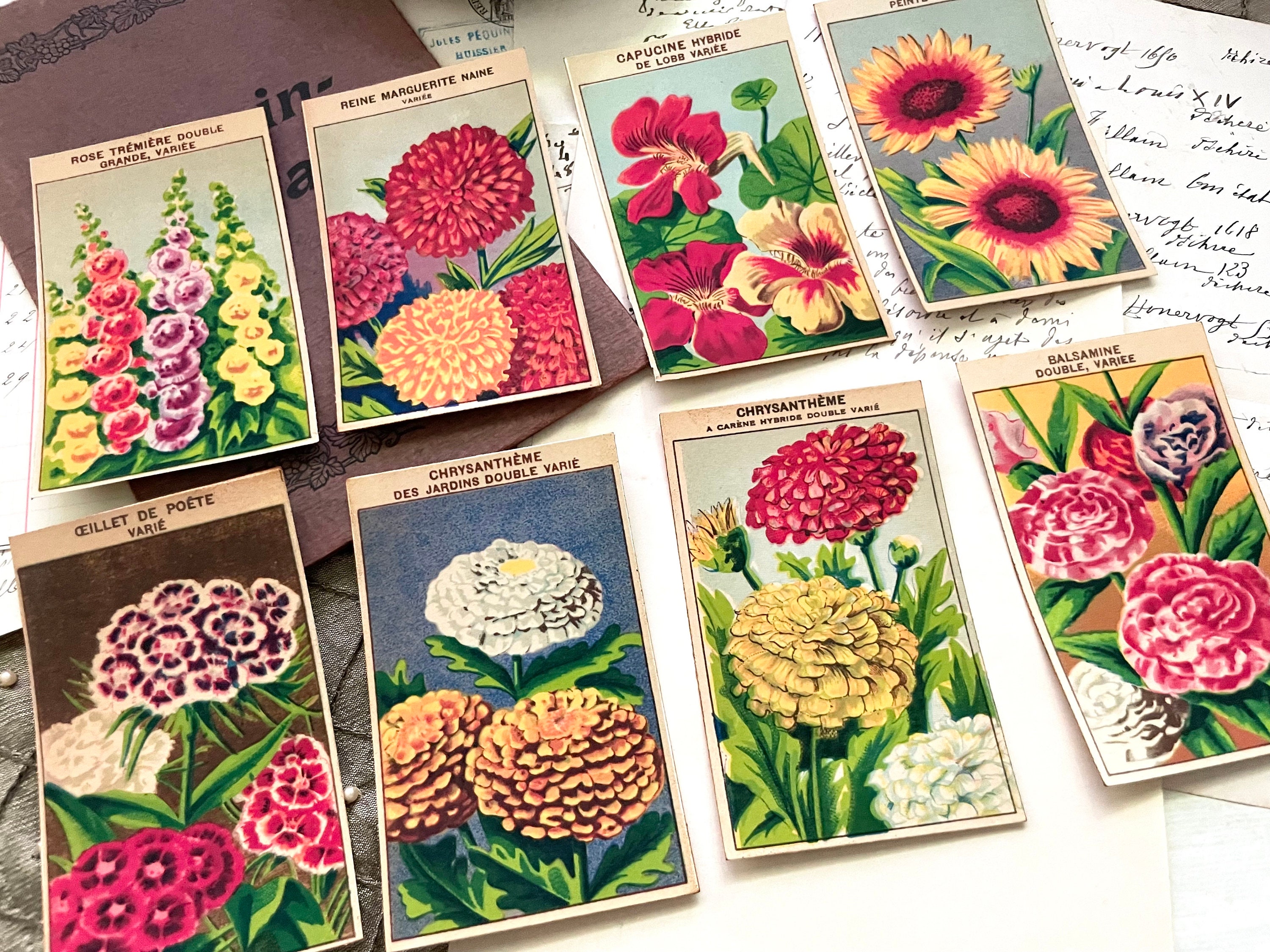 72 Antique French Flower Labels // Vintage Ephemera Download ...